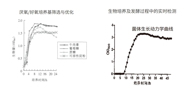 過程安全，結(jié)果精準(zhǔn)