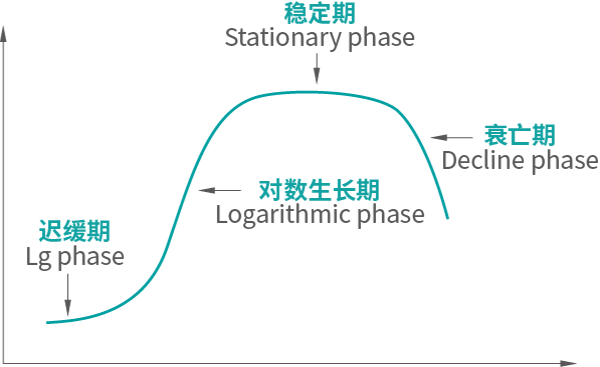 生長規(guī)律